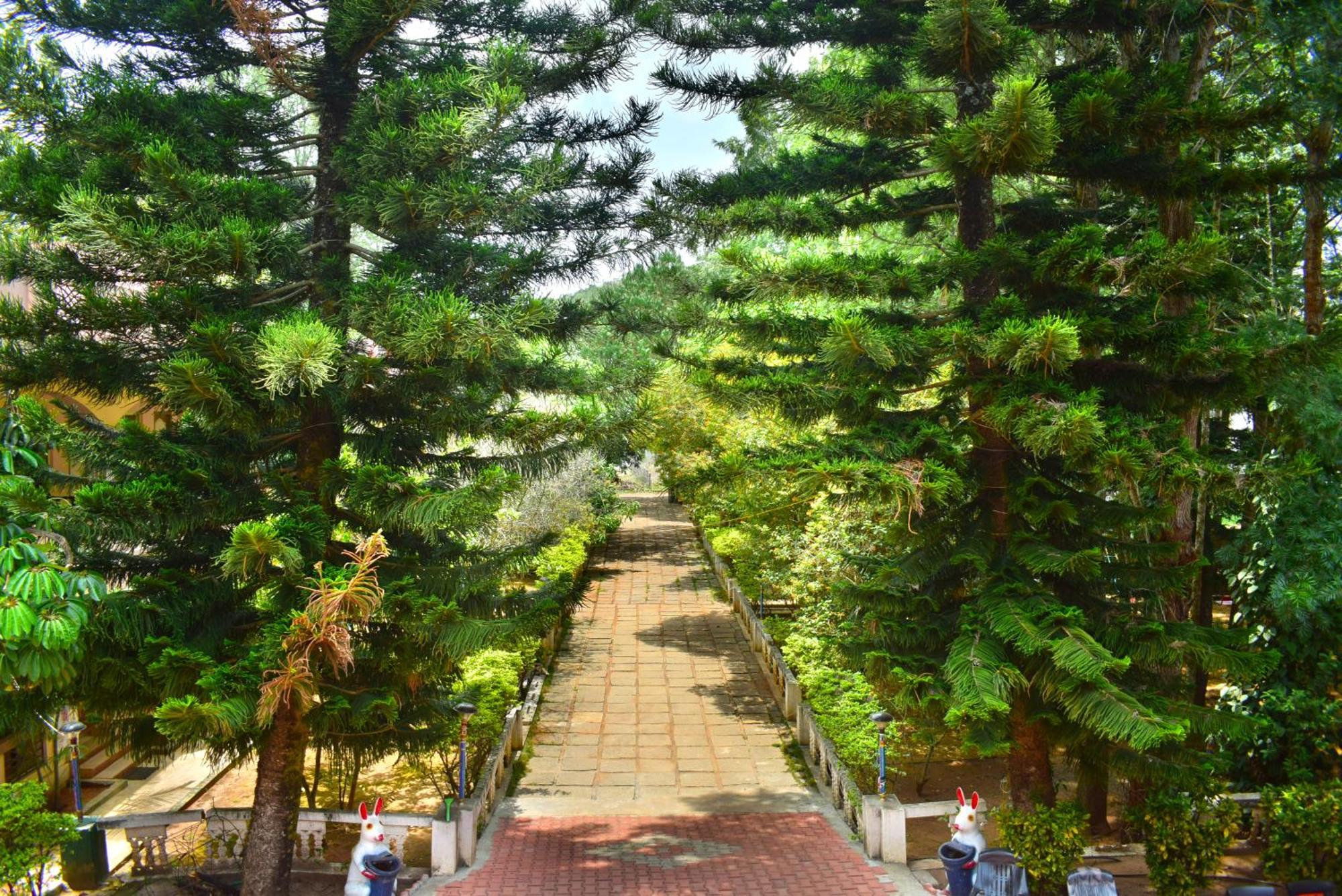 Jains Royal Palace Resorts Yelagiri Bagian luar foto